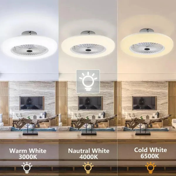 30W LED Ceiling Fan With Light And Remote Control, E27 Lamp, Ceiling Light