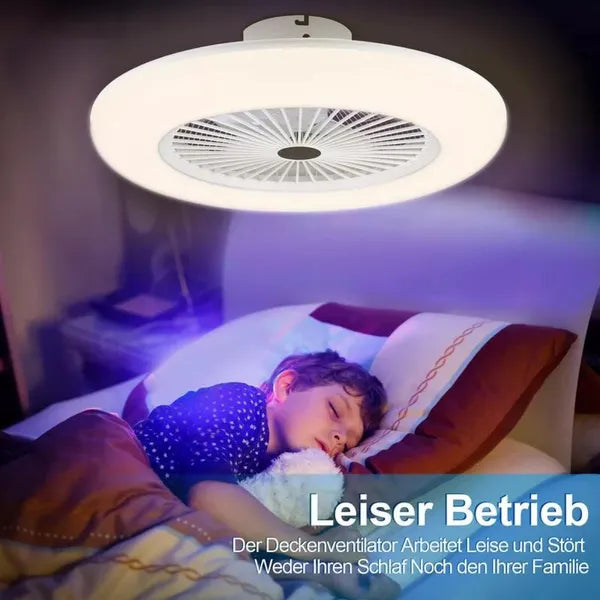 30W LED Ceiling Fan With Light And Remote Control, E27 Lamp, Ceiling Light